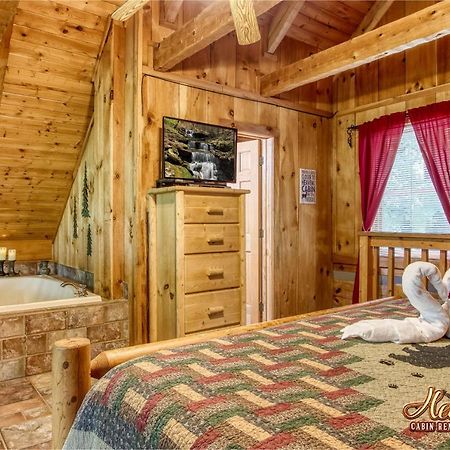 ガトリンバーグ Cozy Mountain Hideawayヴィラ エクステリア 写真